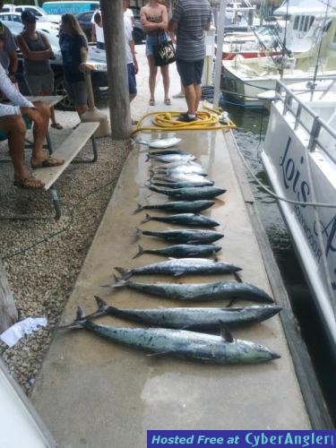 Click to Enlarge Photo