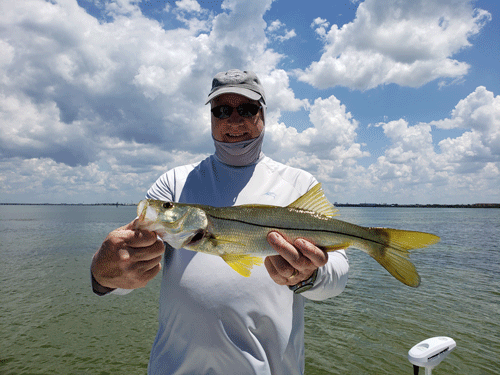 Click to Enlarge Photo