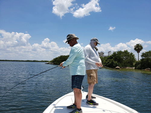 Click to Enlarge Photo