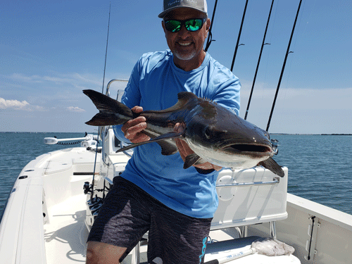 Click to Enlarge Photo