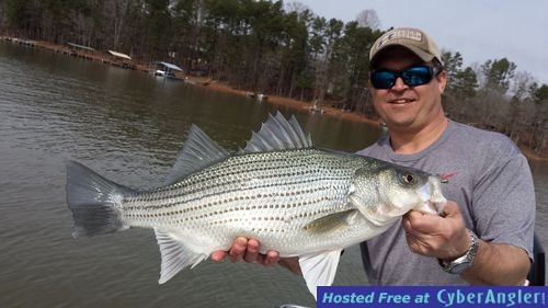 Click to Enlarge Photo