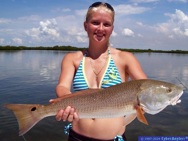 Crystal River Redfish