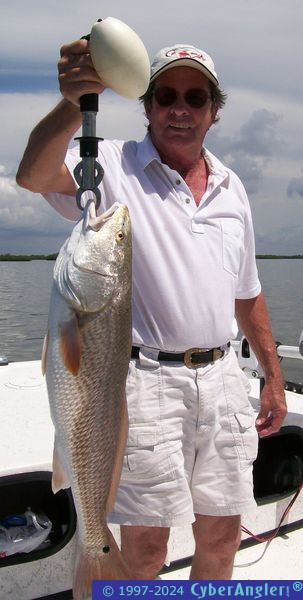 Gene Sales Crystal River Redfish