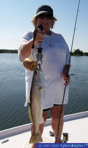 Nancy Allen's 5lb Seatrout