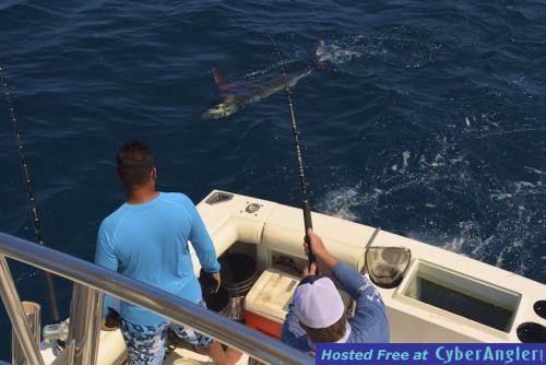 Click to Enlarge Photo