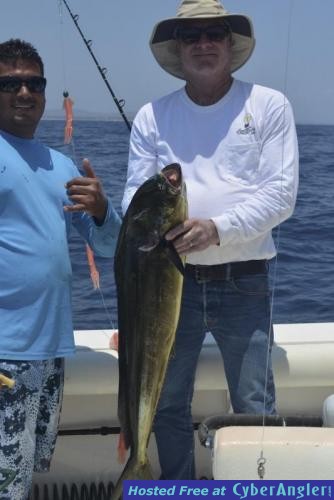 Click to Enlarge Photo