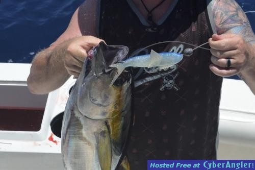 Click to Enlarge Photo