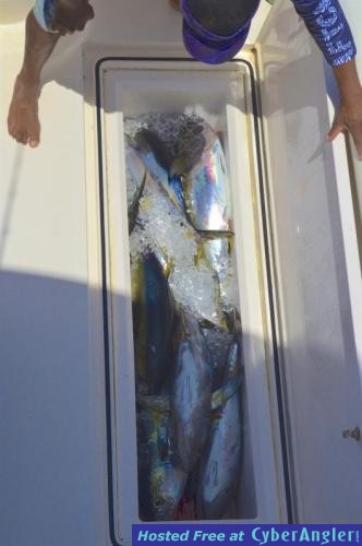 Click to Enlarge Photo