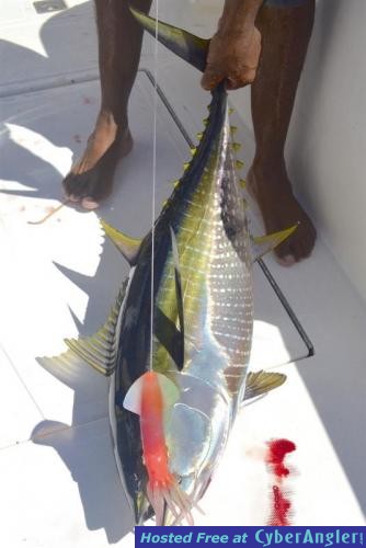 Click to Enlarge Photo