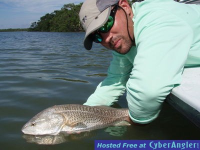 Click to Enlarge Photo