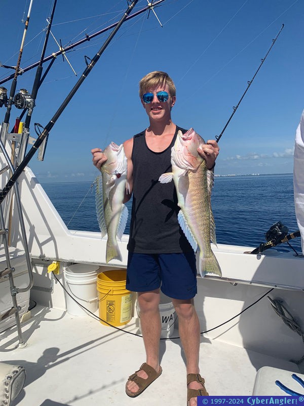 Click to Enlarge Photo