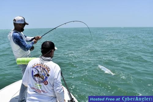 Click to Enlarge Photo