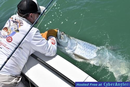 Click to Enlarge Photo