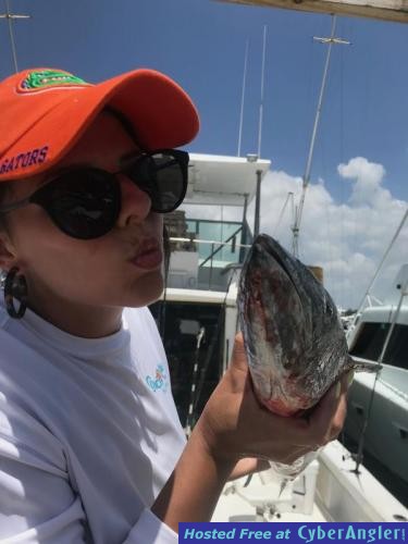 Click to Enlarge Photo