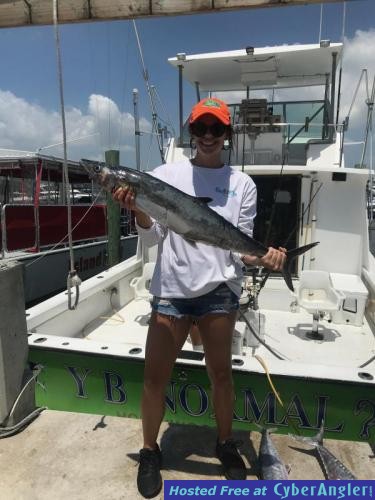 Click to Enlarge Photo