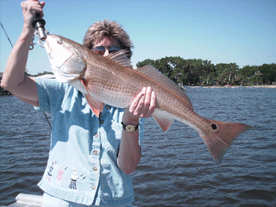 www.captdaves.com