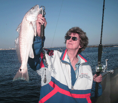 Click to Enlarge Photo