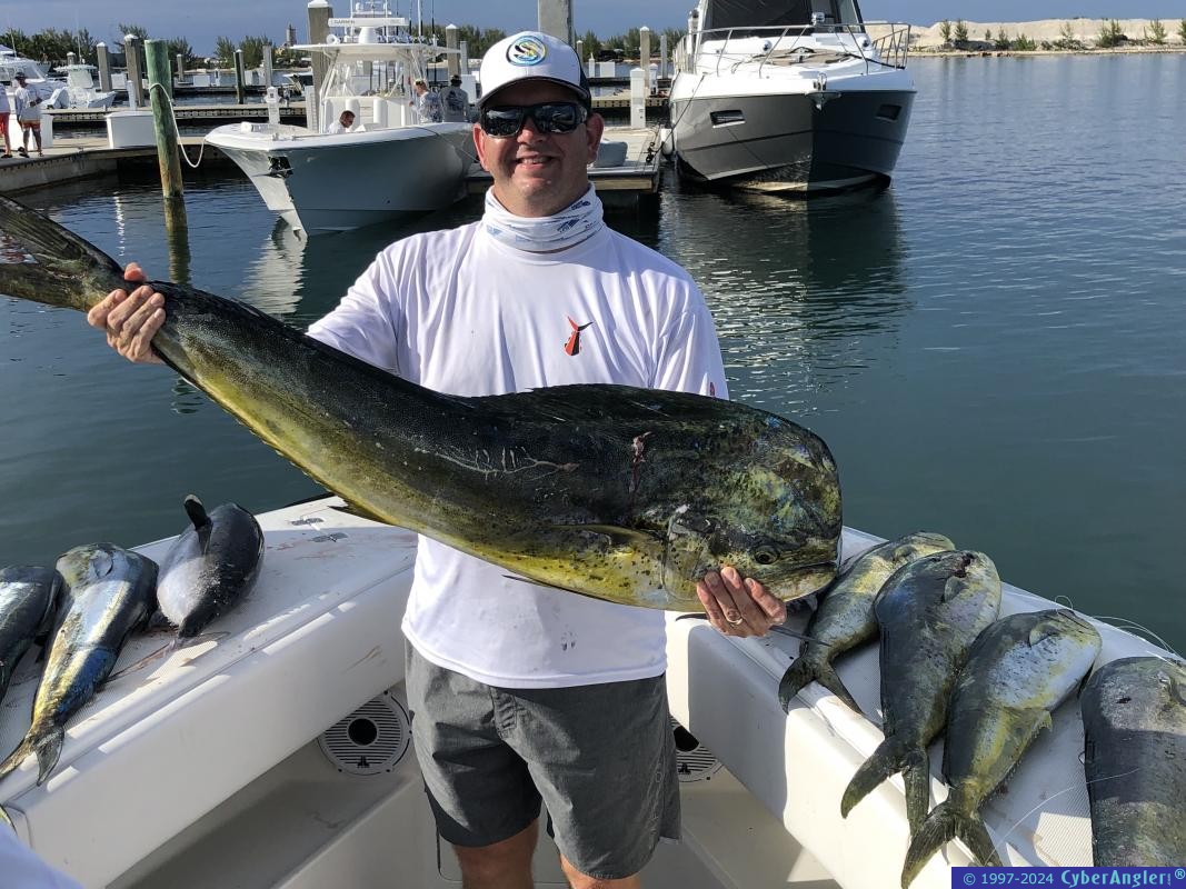 IMG_8886_bull_mahi