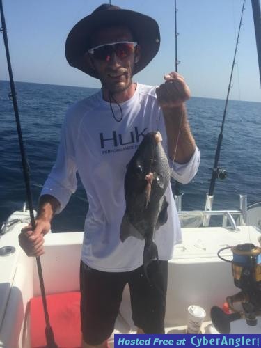 Click to Enlarge Photo