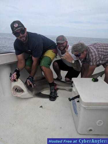 Click to Enlarge Photo