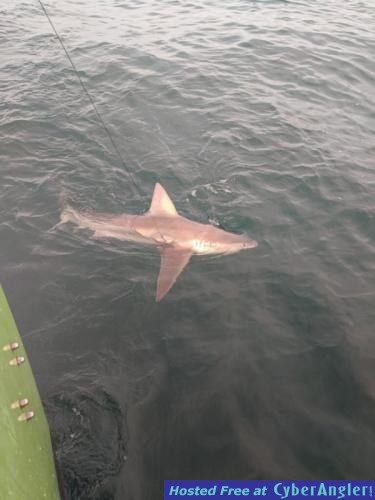 Click to Enlarge Photo