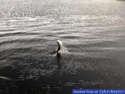 Click to Enlarge Photo