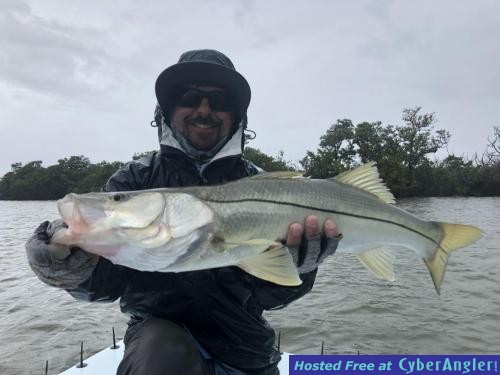 Click to Enlarge Photo