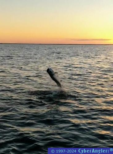 Click to Enlarge Photo