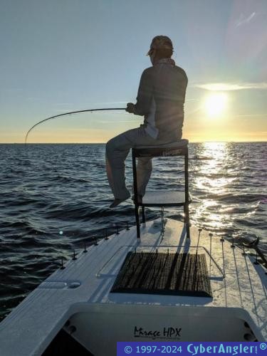 Click to Enlarge Photo