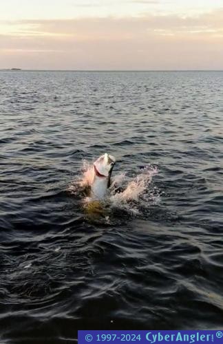 Click to Enlarge Photo