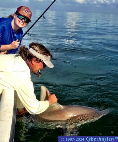 Click to Enlarge Photo