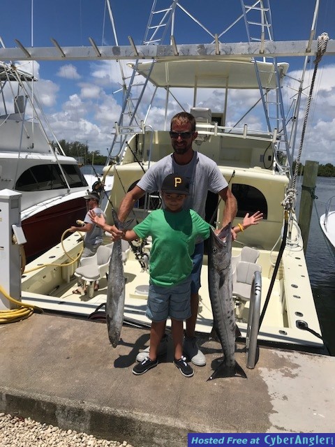 barracuda