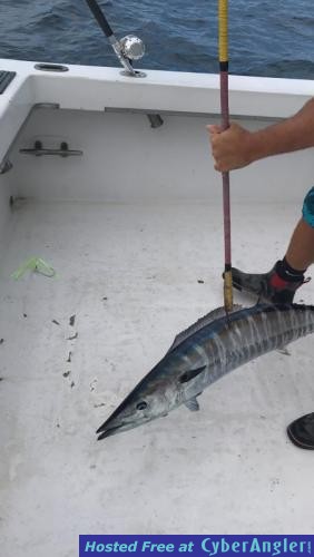 Click to Enlarge Photo