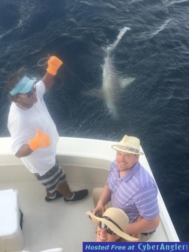 Click to Enlarge Photo