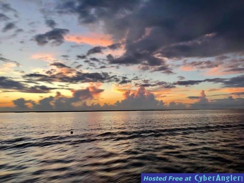 Whiskey Bayou Charters - Redfish Wednesday