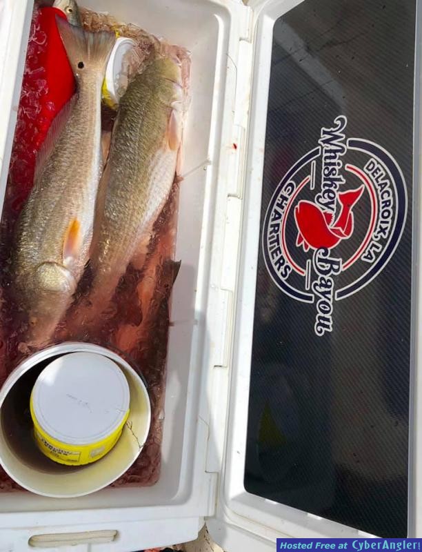 wbc_1_fishing_report_5