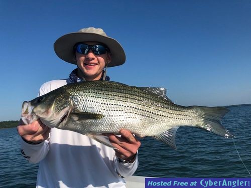 Click to Enlarge Photo