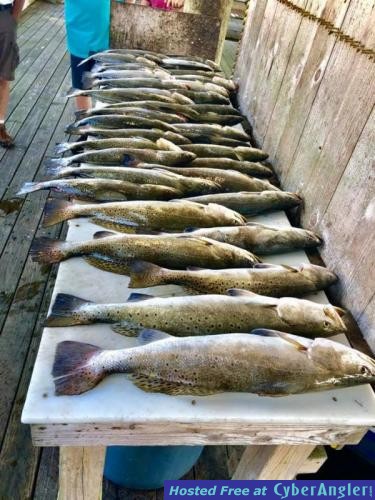 Redfish_and_Trout_in_the_Delacroix_Marshes___7