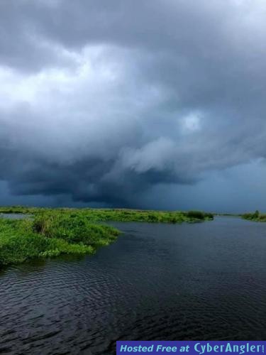 Redfish_and_Trout_in_the_Delacroix_Marshes___6