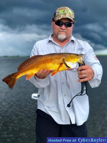 Redfish_and_Trout_in_the_Delacroix_Marshes__2