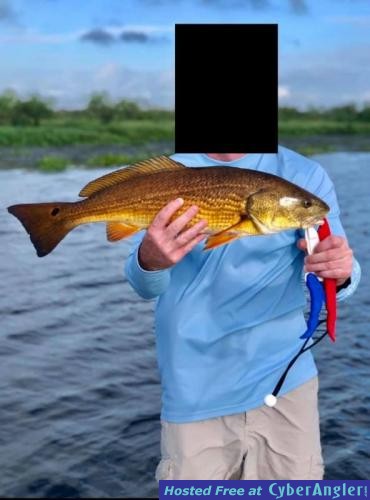 catching_redfish_in_delacroix_2