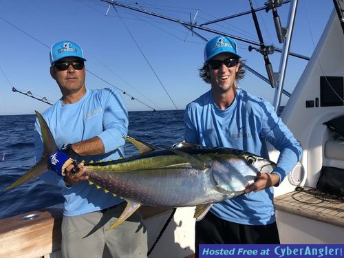 Click to Enlarge Photo