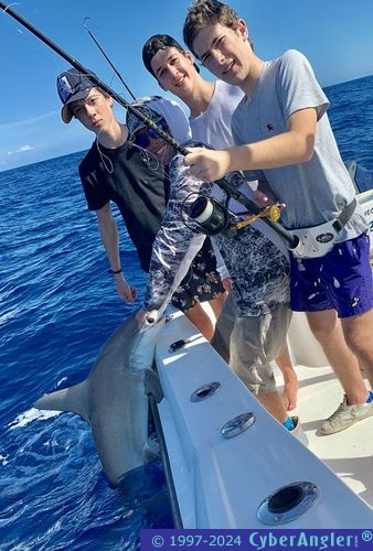 Click to Enlarge Photo