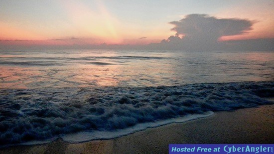 Click to Enlarge Photo