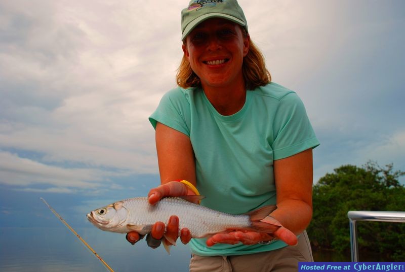 Flamingo Baby Tarpon