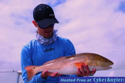 Click to Enlarge Photo