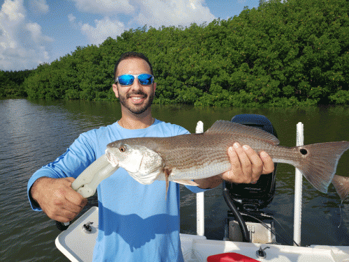 Click to Enlarge Photo