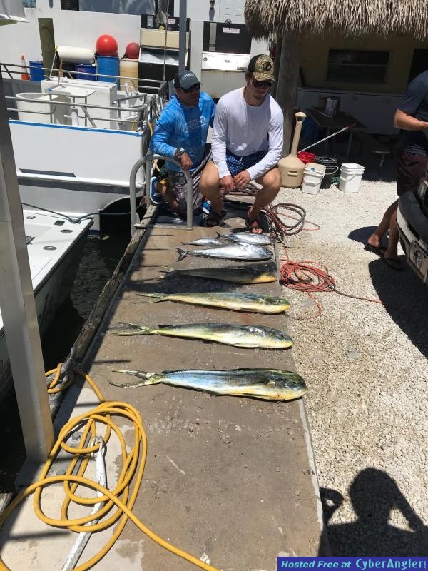 Mahi1