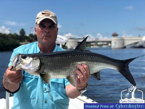Juvenile_Tarpon_Fishing_Tampa_Bay__1_of_1_