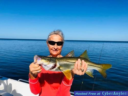 Crystal_River_Snook_Fishing_Charters